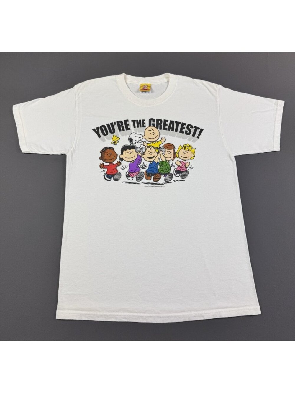 Rare Vintage Y2K Peanuts Snoopy Cartoon Art TV Show White Medium Shirt Promo